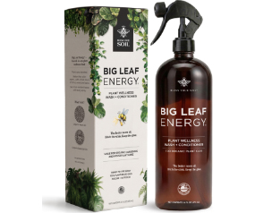Big Leaf Energy RTU 16 fl oz