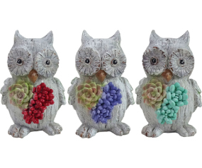 Succulent Owl Statue - Assorte