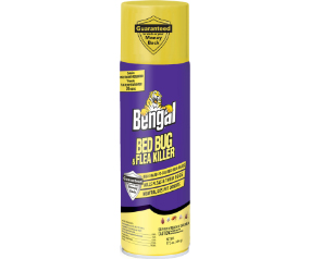 Bengal Bed Bug&Flea Klr 17.5oz