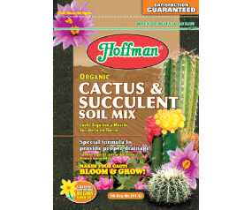 Soil 4 QT Cactus/Succulent