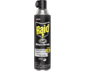 Raid H&w Bonus