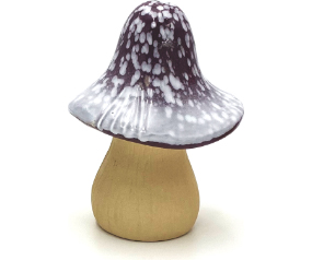 B71 W133