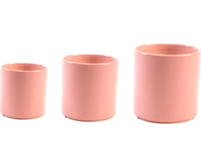 Echo Case Pink Cylinder