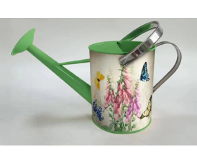 1 Gallon Watering Can Green