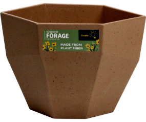 Forage 5