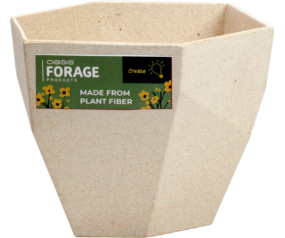 Forage 5