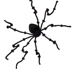 8' Tarantula Black/Purple