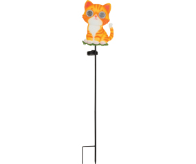 Eye  Slr Stk Cat