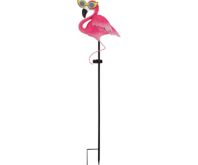 Eye  Slr Stk Flamingo