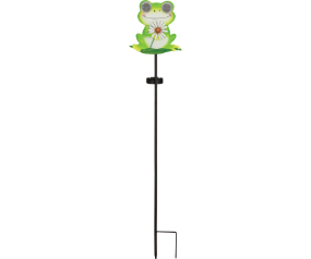 Eye  Slr Stk Frog