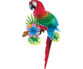 Macaw WD 21