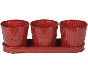Garden Set 4