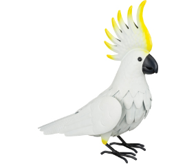 Cockatoo Dec 13