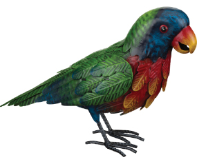 Rnbw Loirkeet Parrot Dec