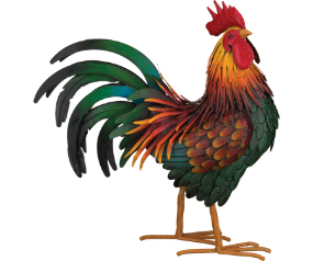 Rhode Isl Red Roost Dec MED
