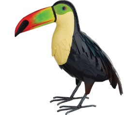 Toucan Dec 14