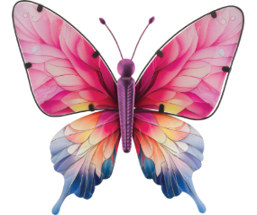 Spectra Bfly WD 18