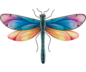 Spectra Drgfly WD 18