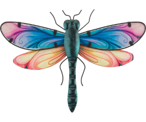 Spectra Drgfly WD 12
