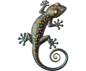 Burano Gecko WD 13