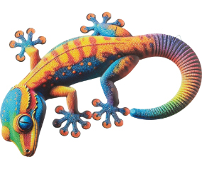 Burano Gecko WD 18