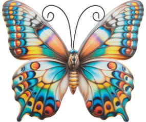Bfly WD 12