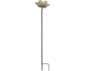 Cast Grdn Stk Daffodil