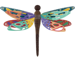 Cirque Drgfly WD MED