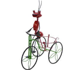 Ant On Trycicle