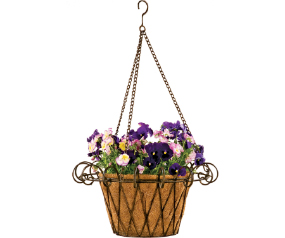Hanging Basket French With
