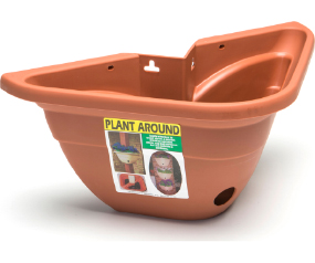 Plant Around Terra Cotta