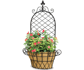 Wall Basket Finial X With