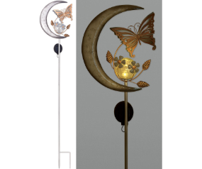 Silver Moon with Butterfly