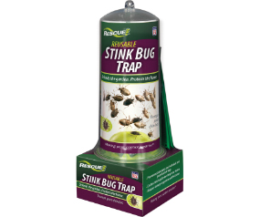 Stink Bug Trap