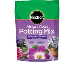 MG African Violet P Mix 8qt