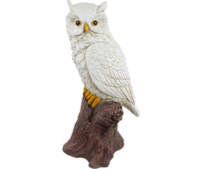 White Owl on Tree Trunk Stat