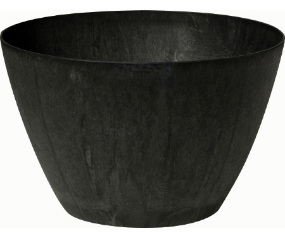 N65 31168