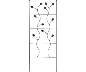 Trellis Garden Bronze