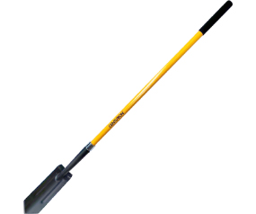 C100 6154