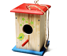 SY Wood Bird House Kit