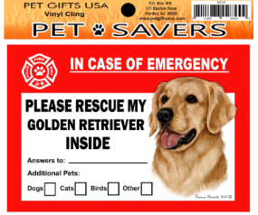 Cling Golden Retriever