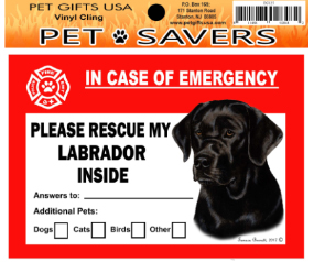 Cling Labrador Retriever Black