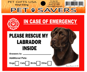 Cling Labrador Retriever Choc