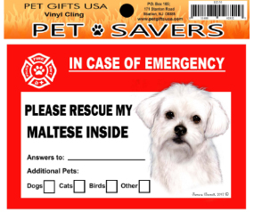 Cling Maltese