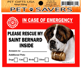 Cling Saint Bernard