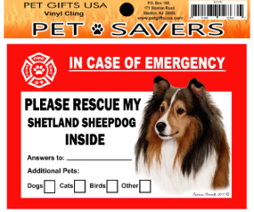 Cling Sheltie