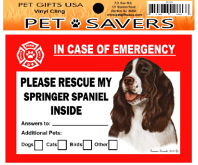 Cling Springer Spaniel Liver