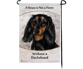 Dachshund Longhair Black/Tan