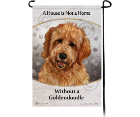 Goldendoodle Red