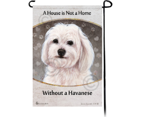 Havanese White